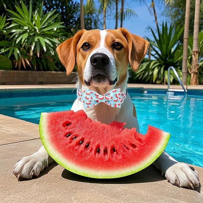 Lionet Paws Watermelon Dog Collar with Bowtie, Cute Summer Cyan Dog Collar for Girl for Small Dogs, Adjustable Cotton Pet Puppy Collars for Small Dogs