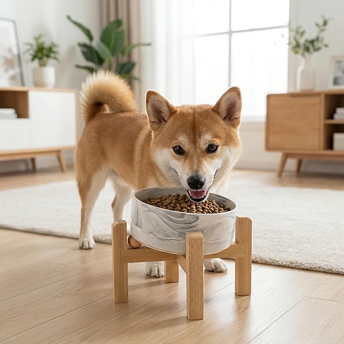 hjn Elevated Ceramic Dog Bowl 15°Slanted Raised Dog Bowl with Bamboo Stand for Small Medium Dogs and Cats, Pet Feeder -3.6-Cup (850ml)-Marble Gray