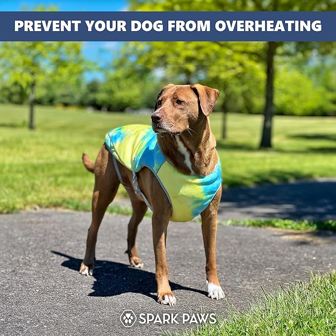 Spark Paws Dog Cooling Vest - SPF 50 UV Sun Protection - Summer Heat Relief Gear for Dogs, Lightweight, Evaporative Cooling - Dog Anxiety Relief Vest During Hot Days - Tropical Storm, 2XL