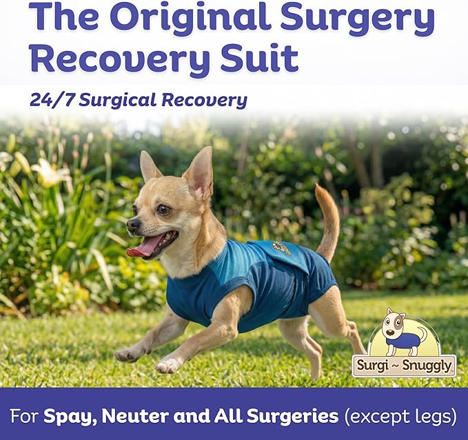 Surgi Snuggly Dog Surgery Recovery Suit - Dog Onesie for Post Surgery Recovery, Female Spay & Male Neuter, Surgical Suit for Dogs, E-Collar Cone Alternative, Double Blue - Extra Small - 10"-11.5" (EC)