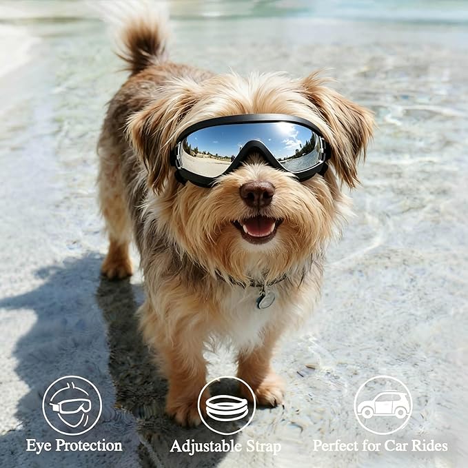 LESYPET Dog Goggles Small Breed, UV Wind Dust Protection Small Dog Sunglasses with Adjustable Strap, Puppy Sunglasses for Outdoor Driving Eye Protection, S