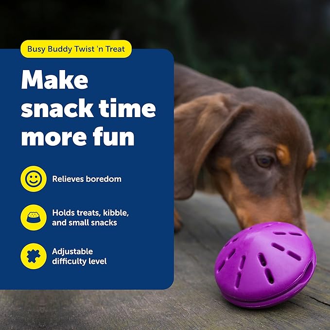 PetSafe Busy Buddy Twist 'n Treat Dispensing Dog Toy - Small