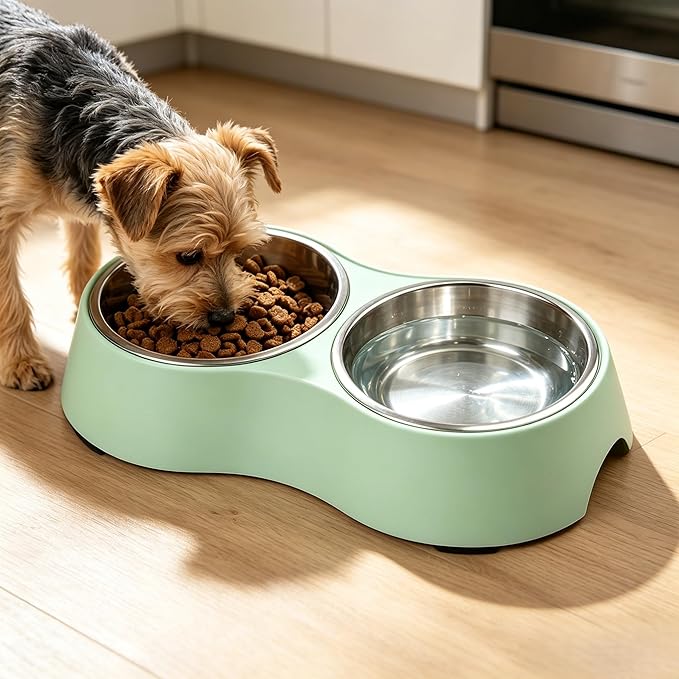Double Pet Bowl Set for Small Dogs & Cats, Green Non-Slip Stainless Steel Food Water Bowls, BPA-Free Mess-Free Feeding Station for Kittens, Puppies and Tiny Pets