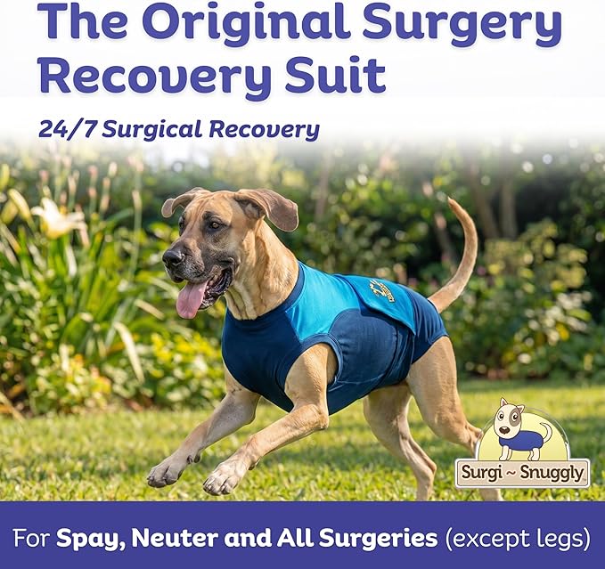 Surgi Snuggly Dog Surgery Recovery Suit - Dog Onesie for Post Surgery Recovery, Female Spay & Male Neuter - Surgical Suit for Dogs, E-Collar Cone Alternative, Double Blue - 2X-Large - 31" - 35" (EC)