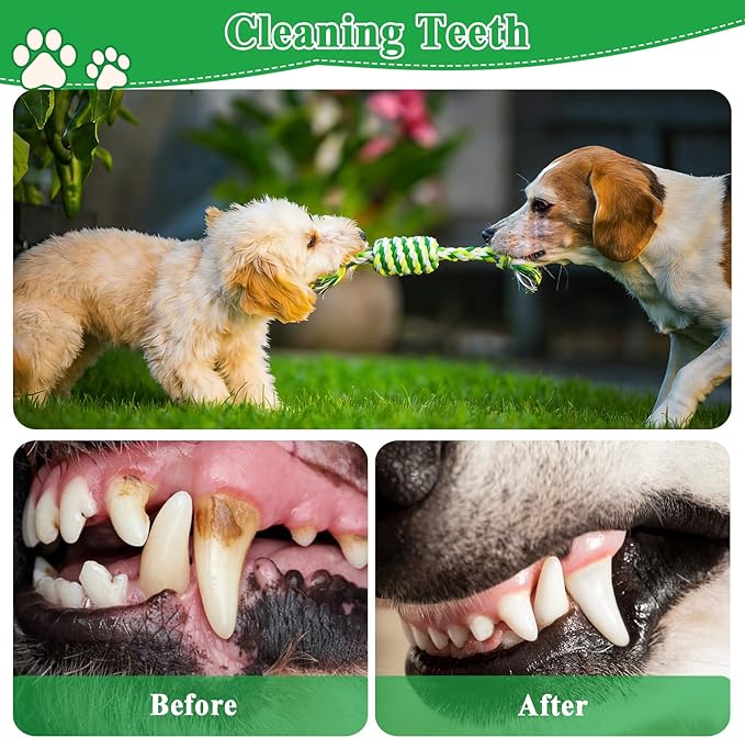 ASOCEA 5 Pack Dog Rope Toys Cotton Puppy Teething Chew Toys for Small Dogs Puppies Interactive Tug Toy for Training Fetching Boredom Relief（Green）