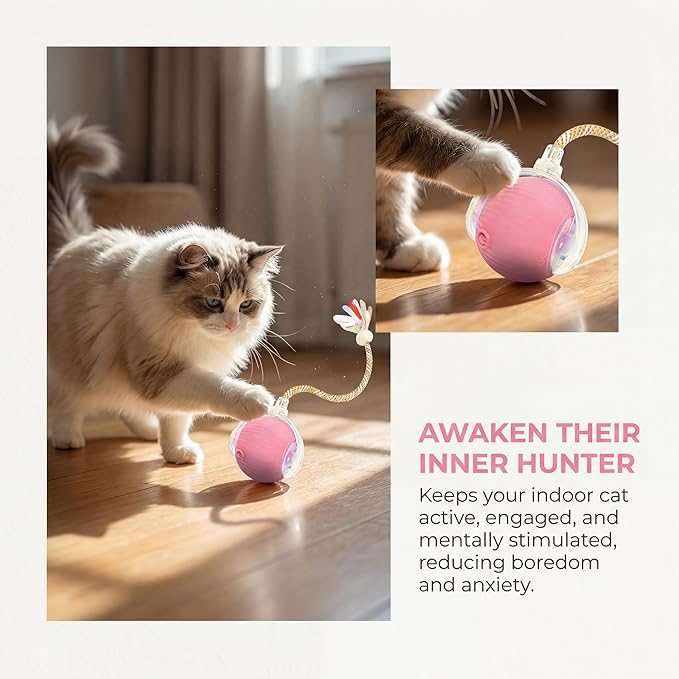 Rechargeable Smart Rolling Cat Ball, Automatic Interactive Cat Toy with 3 Modes, LED Light & 3 Replaceable Accessories, Indoor Cat Exercise Toy for Kittens & Adult Cats, for Boredom Relief red+red
