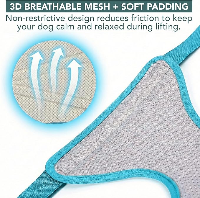 Haminway Pet Grooming Hammock – Medium Size, 3D Air-Mesh Dog Grooming Sling for Nail Trimming, Bathing & Ear/Eye Care for 16–40 lbs Pets