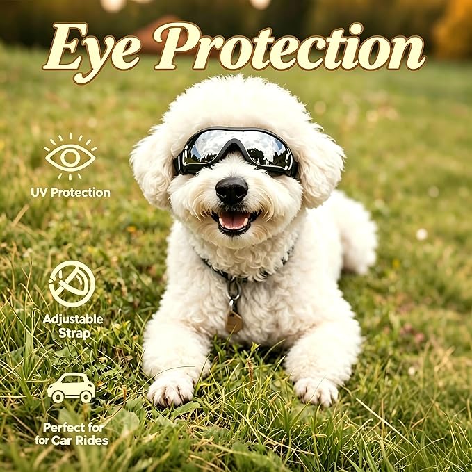 LESYPET Dog Goggles Medium Breed, UV Wind Dust Protection Medium Dog Sunglasses with Adjustable Strap, Doggie Sunglasses for Outdoor Driving Eye Protection, M