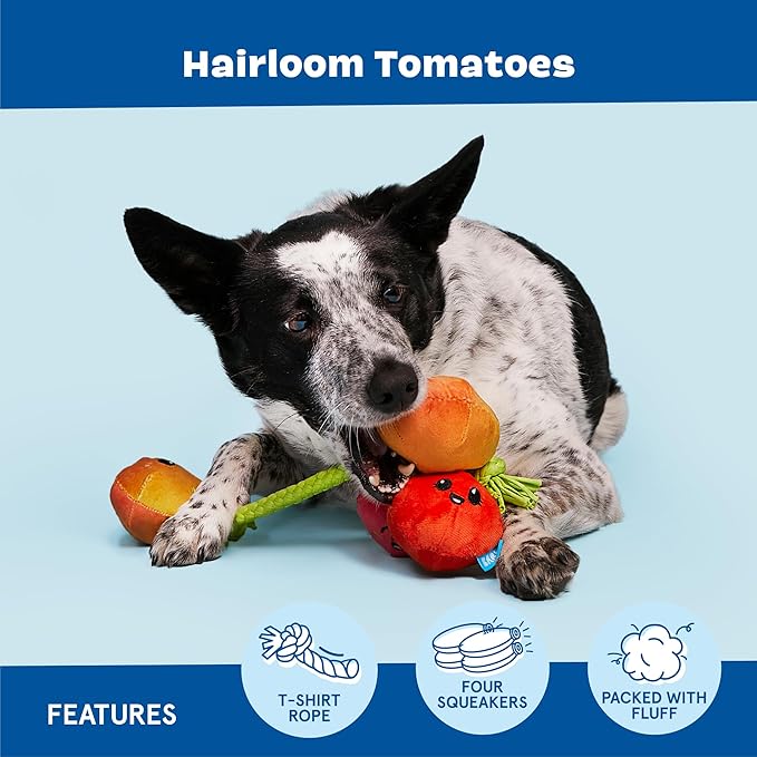 Barkbox Hairloom Tomatoes Dog Toy | Plush Tug Toy with T-Shirt Rope Vine & 4 Squeakers | Interactive Tug & Play Toy for Small to Medium Dogs