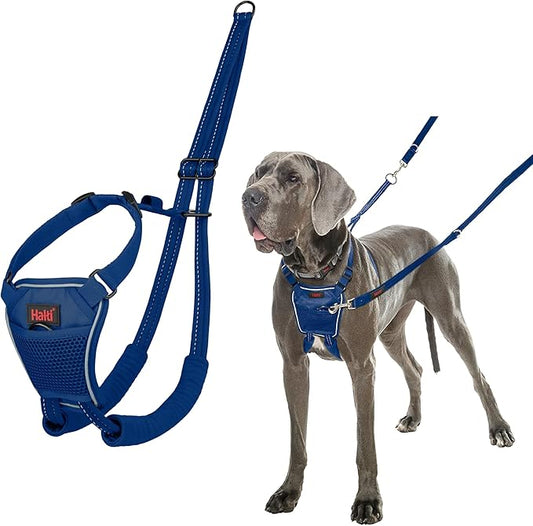 Halti No Pull Harness - Stop Your Dog Pulling on the Leash. Adjustable, Lightweight and Easy to Use. Reflective Dog Training Harness for Large Dogs (Size L, Cobalt Blue)