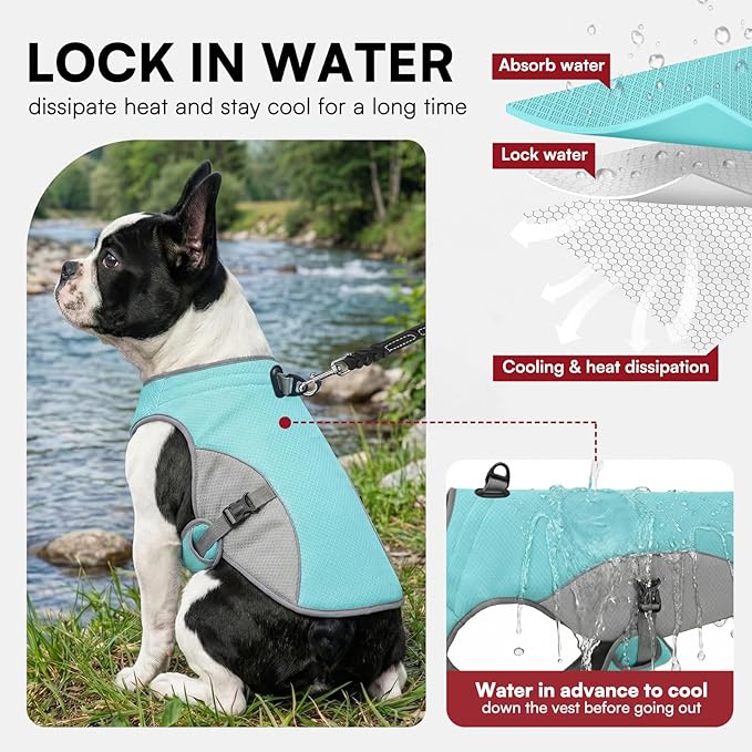 Dog Cooling Vest for Small Dogs, Cooling Jacket for Dogs with Mesh and D Ring, Dog Reflective Stripe Jacket for Hot Weather, Blue-S