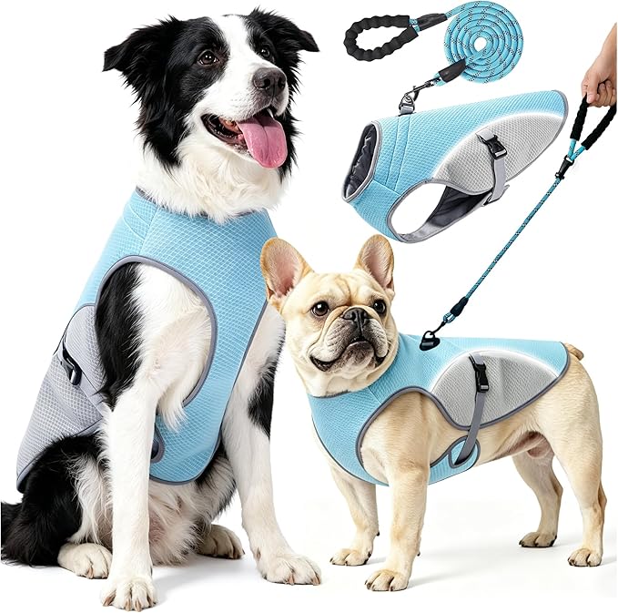 Dog Cooling Vest with 6.5FT Leash, UPF50 Breathable Lightweight Heat Relief Vest for Small & Large Dogs, Hot Weather Summer Outdoor Walking Hiking (Blue 2, XL)
