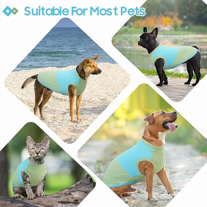 BRKURLEG Dog Cooling Vest, UPF 50+ Sun Protection Dog Cooling Shirts, Breathable Quick Dry Vest for Small to Large Dogs & Cats, Lightweight Summer Pet Clothing for Hiking, Beach, Bluegreen, S