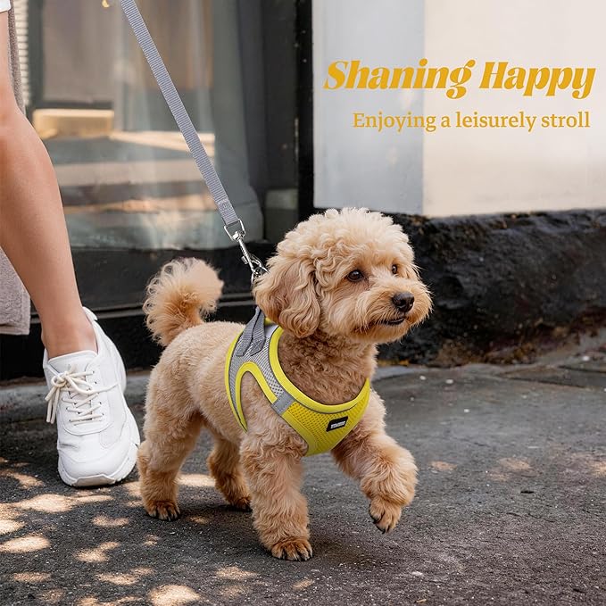 YIMEIS Dog Harness and Leash Set, No Pull Soft Mesh Pet Harness, Reflective Adjustable Puppy Vest for Small Medium Large Dogs, Cats (Yellowgrey, Small (Pack of 1)
