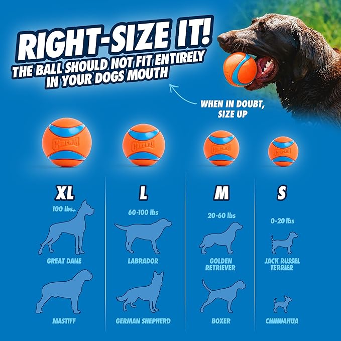Chuckit! Dog Balls - Interactive Dog Toys, High-Bounce Fetch Ball, Floating Ultra and Rugged Balls, Durable - Size Medium, 2.5-inch Diameter, Set of 3 (Pack of 12)
