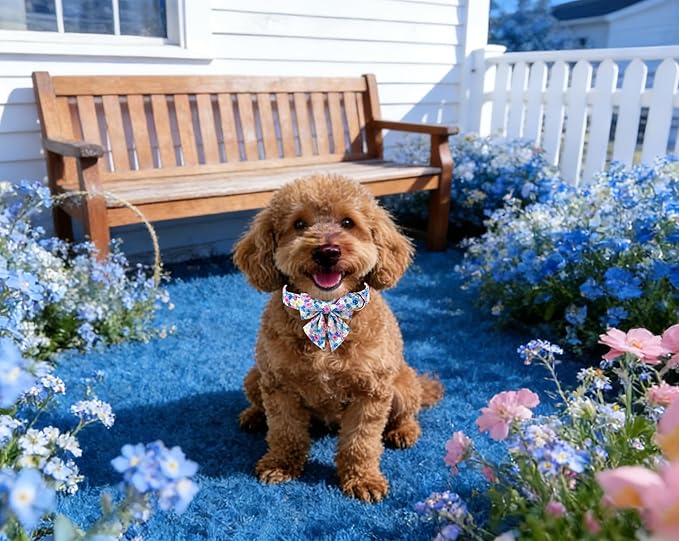 Lionet Paws Floral Dog Collar with Sailor Bow, Spring Wildflowers Daisy Forget Me Not Dog Collar Bow Tie for Dogs, Medium, Neck 13.5-22 inches