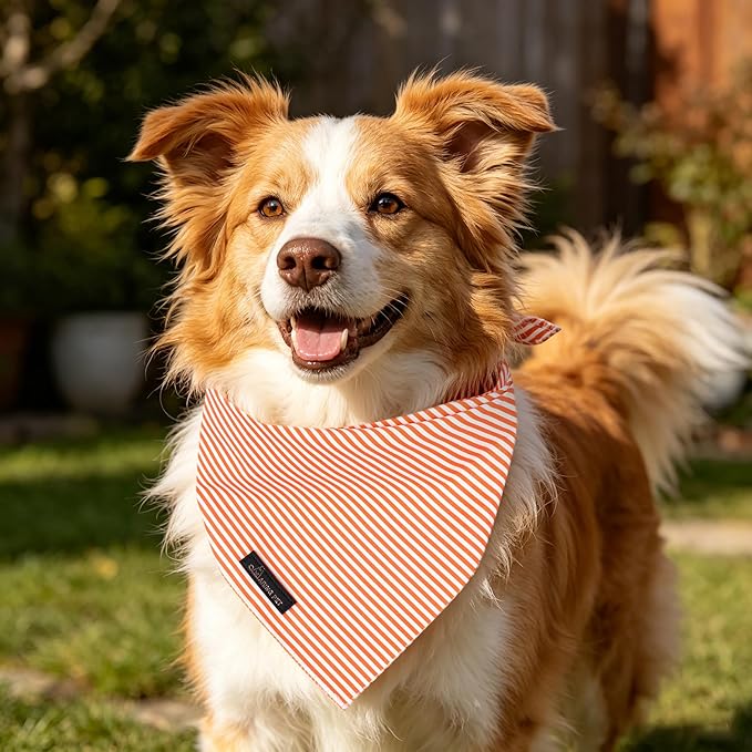 ARING PET Stripe Dog Bandanas, Cute Orange Pet Bandana Scarf Triangle Bib for Small Medium Large Boy Girl Dogs Cats, Puppy Kerchief for Daily Wear Walks Party Photos-S