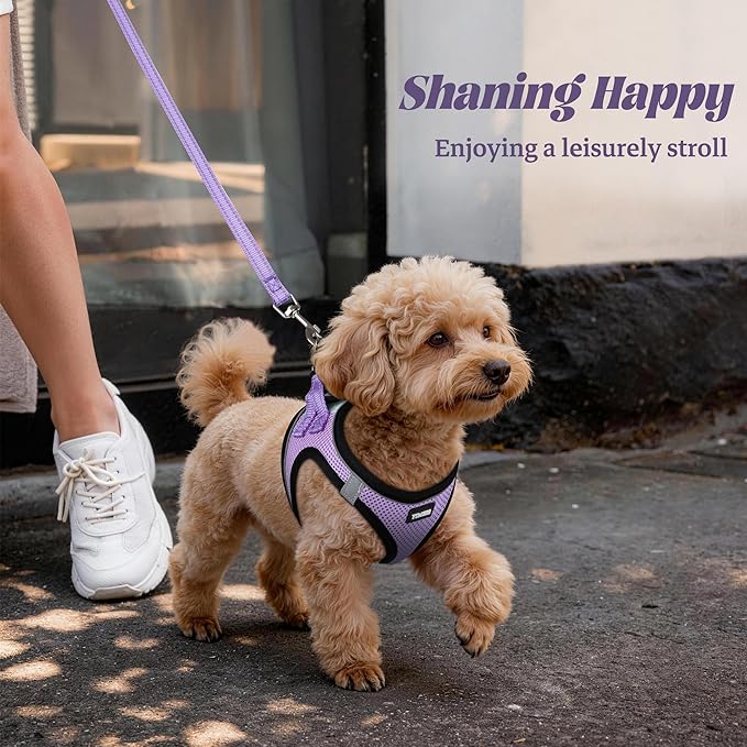 YIMEIS Dog Harness and Leash Set, No Pull Soft Mesh Pet Harness, Reflective Adjustable Puppy Vest for Small Medium Large Dogs, Cats (Taro Purple, X-Small (Pack of 1)