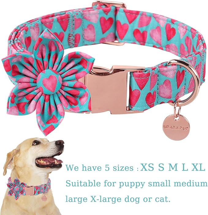Valentine Dog Collar with Flower, Heart Flower Collar for Puppy Girl Boy Dog or Cat, Comfortable Dog Collar Flower with Durable Metal Buckle, Cute Pet Collar,XL, Neck 16-26in