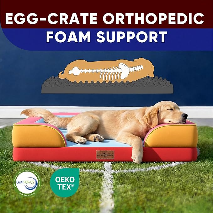 Comfort Expression Orthopedic Dog Bed for Extra Large Dogs 45x35 Inch, Waterproof Egg Crate Foam XL Pet Bed with Bolsters, Dog Couch with Washable Cover & Non-Slip Bottom, Miami
