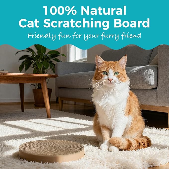 Round Cat Scratcher Refill 10 Inch - Double-Sided Cat Scratch Pad Replacement Fits Most Round Bases, Cat Scratching Board for Indoor Cats 2-Pack