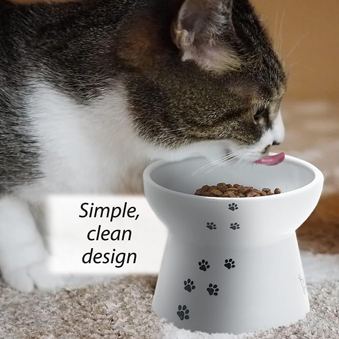 Necoichi Raised Cat Food Bowl – Ceramic Elevated Cat Bowl for Whisker & Neck Fatigue, Dishwasher Microwave Safe – Non-Slip & Anti Vomiting Ergonomic Design (Cats, Large) (Pack of 2)