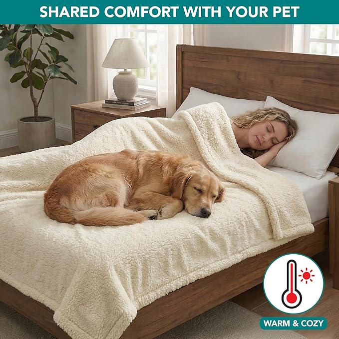 PetAmi Fluffy Waterproof Dog Blanket for Couch and Bed, Reversible Sherpa Pet Throw, Pee Proof Furniture Protector Sofa Cover, Washable Cat Blanket for Medium Large Dogs and Cats (Beige Cream, 40x60)