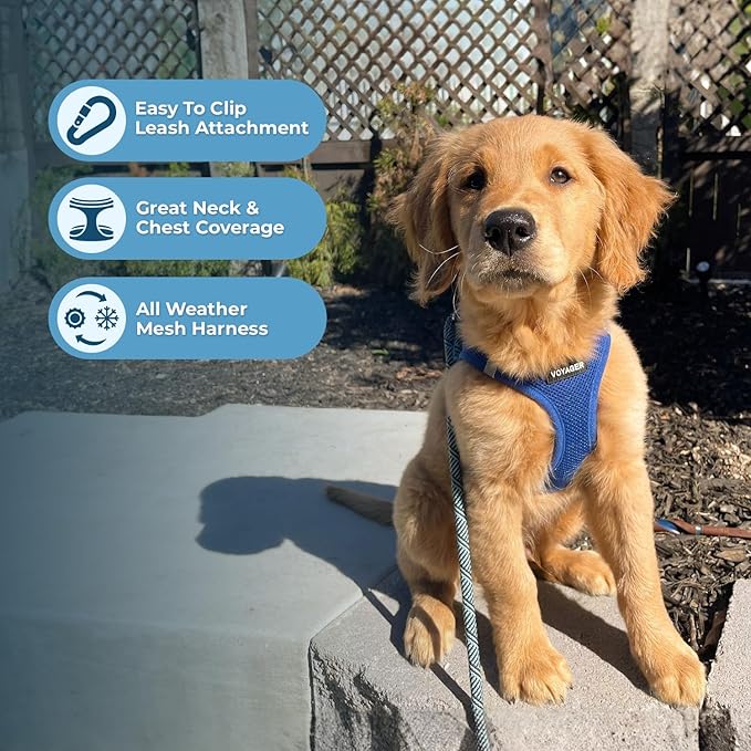 Best Pet Supplies Voyager Step-in Air All Weather Mesh Harness and Reflective Dog 5ft Leash Combo with Neoprene Handle, for Small, Medium and Large Breed Puppies - Set (Royal Blue), XXX-Small