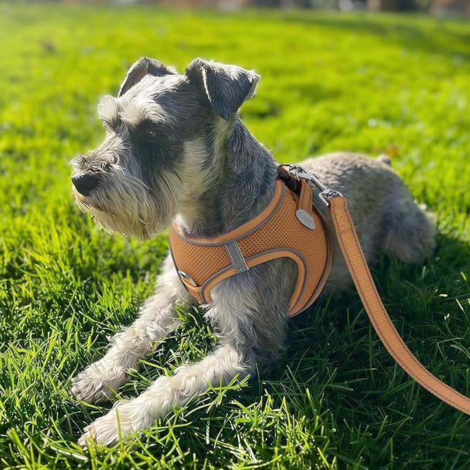 Joytale Small Dog Harness, Breathable Mesh Step-in Vest, Reflective Soft Padded Harnesses Small Sized Dog for Walking, Brown, S