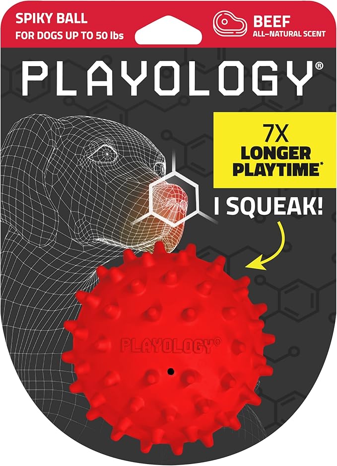 Playology Dog Toys | Squeaky Spiky Chew Ball for Medium Dogs | Beef Scented Dog Ball for Tough Chewers
