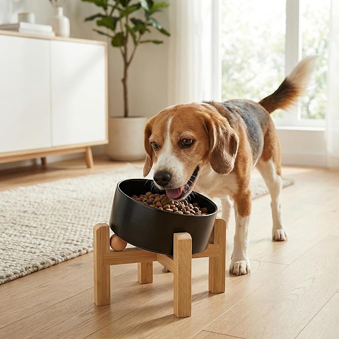hjn Elevated Ceramic Dog Bowl/Raised Ceramic Dog Bowls with Bamboo Stand, 15°Slanted Raised Pet Feeder for Small Medium Dogs and Cats, Non-Slip Heavy Weighted Design (Black, 3.6Cup)