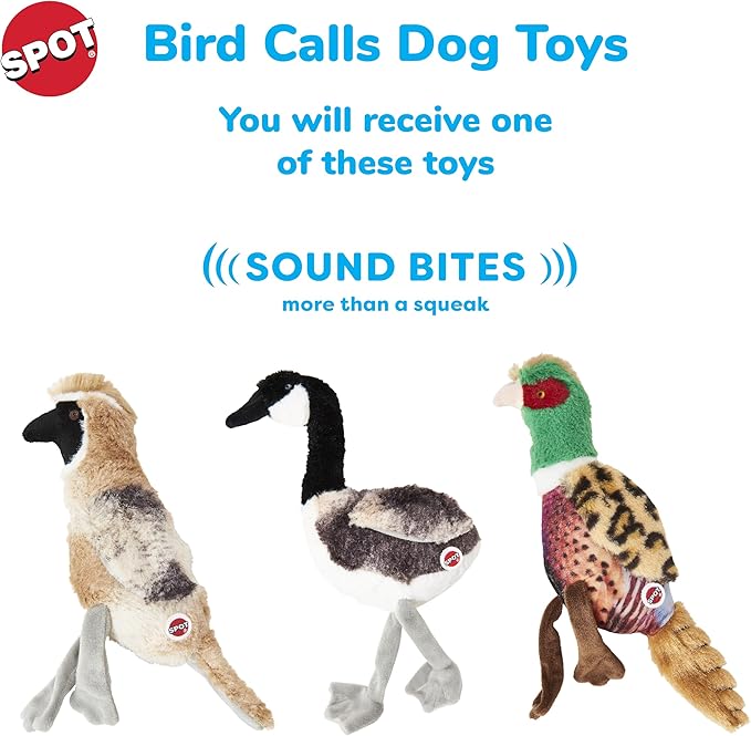 SPOT Bird Calls Plush Dog Toy with Realistic Bird Sound – 12" Sound Chip Toy for Dogs, One of Three Assorted Styles, Engaging Indoor Play for Small and Medium Breeds