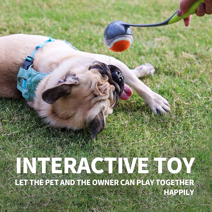 PAWISE Dog Ball Launcher for Medium Dogs, 12.2" Dogs Fetch Toy with 2.5" Tennis Balll, Portable Dog Tennis Ball Thrower for Indoor & Outdoor Play, Lightweight, Durable & Hands-Free Pick-Up