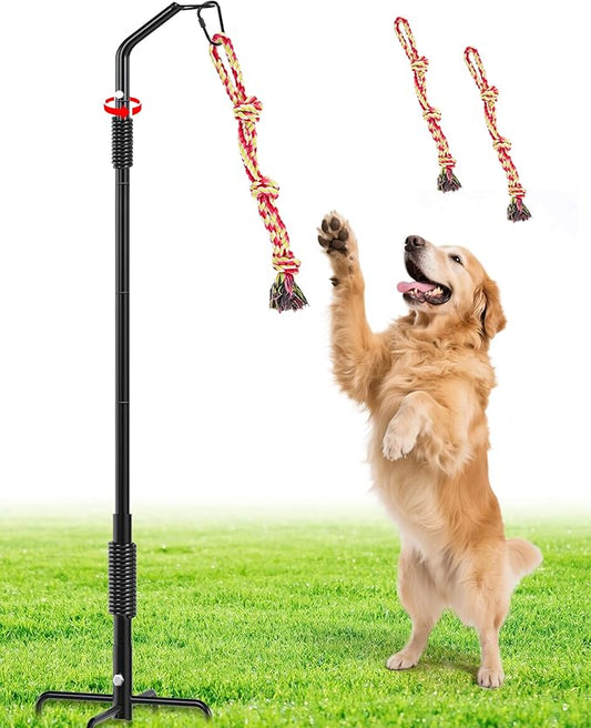 360° Rotation Tether Outdoor Dog Rope Toy, Exercise Tug Of War Dog Toy in Yard/Park/Lawn, Dog Training 3 Rope Toys, 2 Strengthen Spring Poles, Self Play and Interactive Toy for Large Medium Small Dog