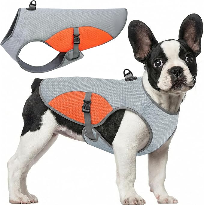 Dog Cooling Jacket for Large Dogs, Pet Cooling Vest with Mesh and D Ring, Dog Reflective Stripe Cooler Jacket for Beach, Hiking, Walking, Orange-L