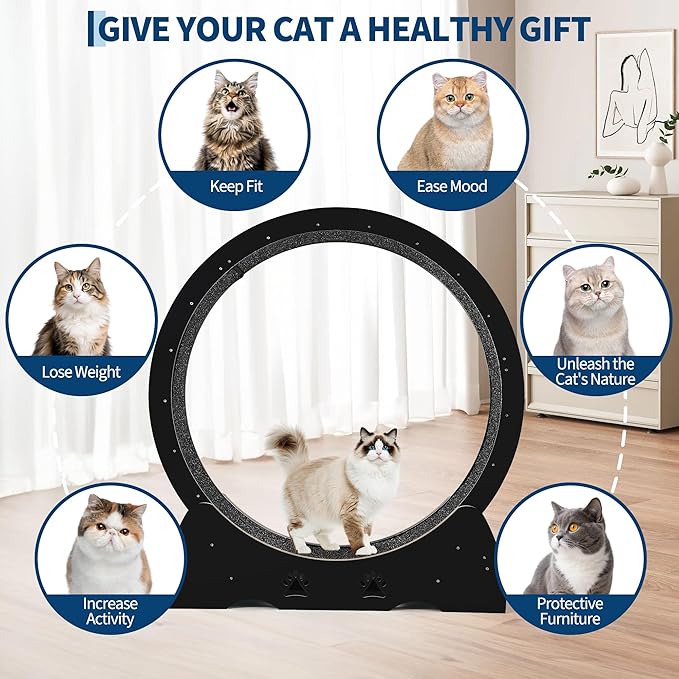 GarveeLife Cat Exercise Wheel, Wooden Cat Running Treadmill with Carpeted Runway for Indoor Cats, Low Noise Removable Carpet Cat Wheel for Kitty Running Walking Training