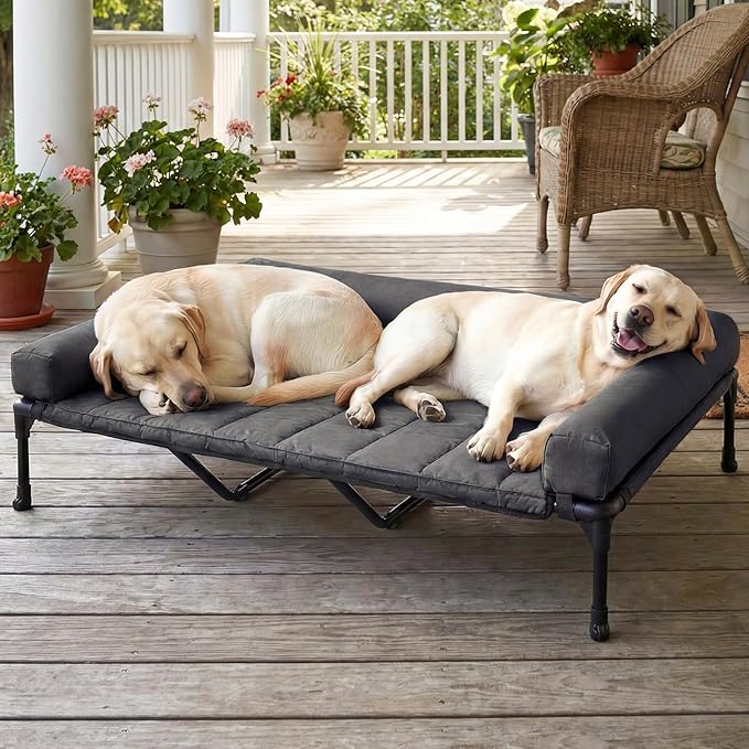 Veehoo Cooling Elevated Dog Bed Add Removable Waterproof Bolster Cushion Mat, Raised Pet Cot with Breathable Teslin Mesh, No-Slip Feet, Dog Sofa Bed for Indoor Outdoor, XXLarge, Black CWC2331B