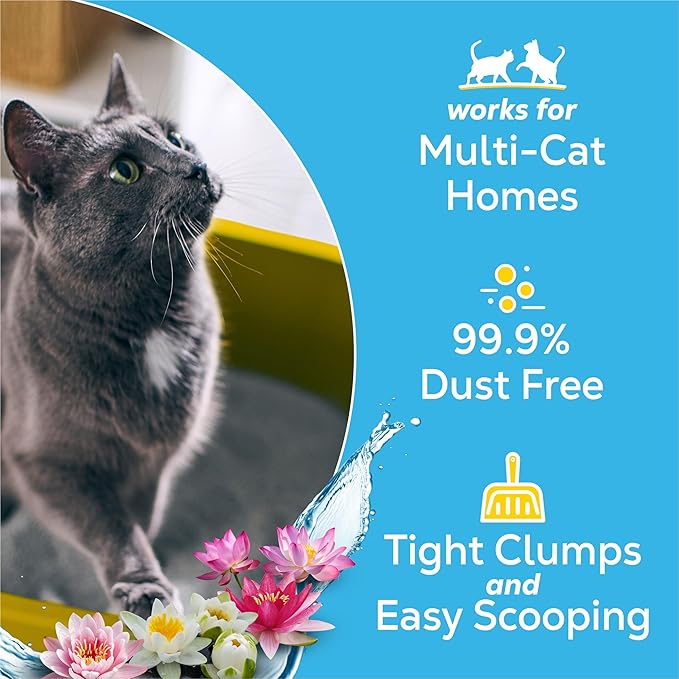 Purina Tidy Cats Lightweight Cat Litter, Clumping Multi Cat, Glade Clear Springs Odor Control, Low Dust, 38 lb. Box