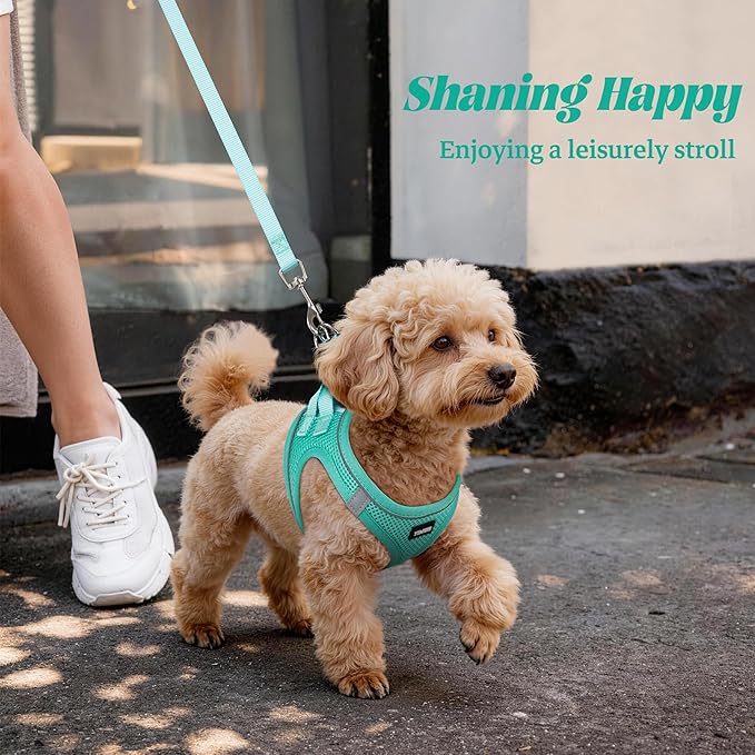 YIMEIS Dog Harness and Leash Set, No Pull Soft Mesh Pet Harness, Reflective Adjustable Puppy Vest for Small Medium Large Dogs, Cats (Tiffany Blue, Medium (Pack of 1)