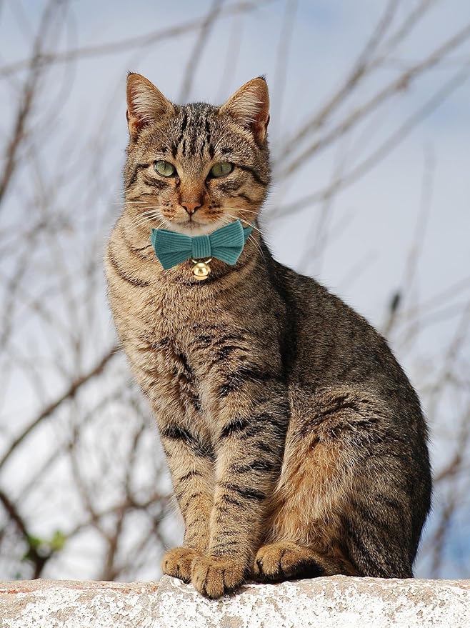 2 Pack Soft Corduroy Cat Collars with Bow Tie & Bell, Adjustable Breakaway Cotton Kitty Bowtie Collar for Boy Male Cats(Black & Green)