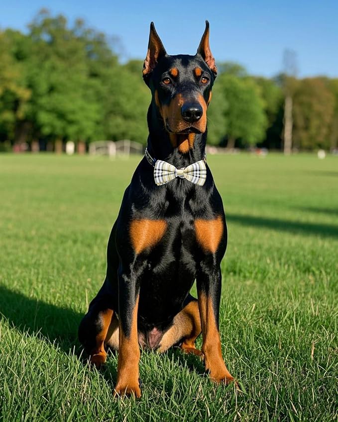 PET SHOW 5 Pack Pet Big Dogs Collar Embellishment Attachment Bow Ties for Medium Large Dogs Collar Charms Accessories Slides Bowties for Birthday Wedding Parties Assorted B Styles