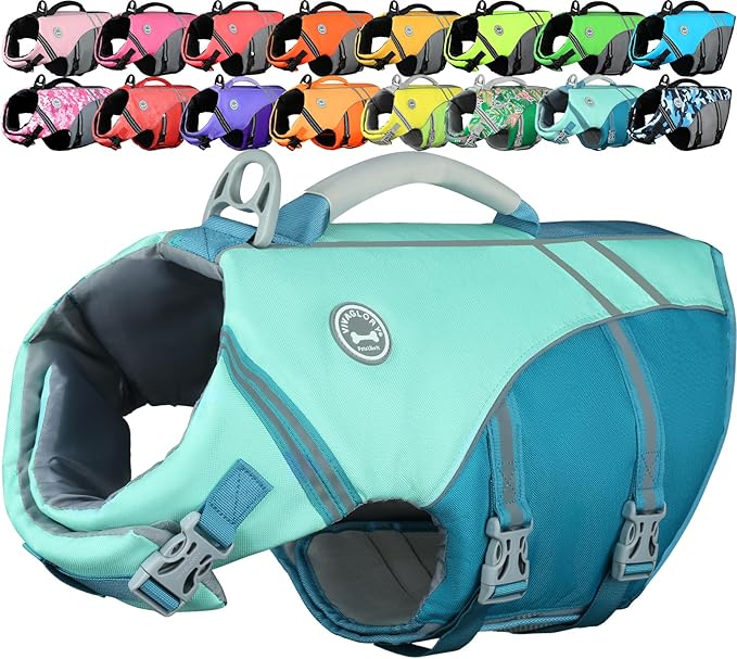 VIVAGLORY Sports Style Dog Life Vest, Dog Life Jacket for Swimming & Boating, Ripstop & Buoyancy for Puppy Doggy, Lifejacket with Handle, M, Cyan