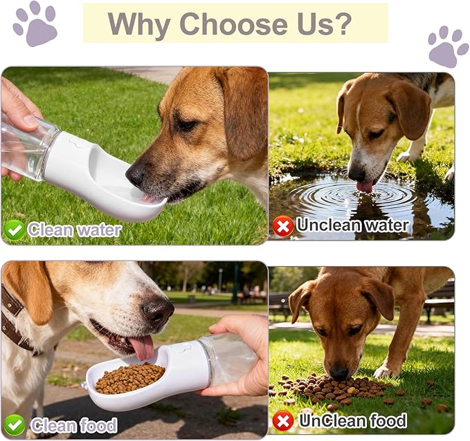 Portable Dog Water Bottle with Food Container, BPA Free Travel Water Bottle for Dogs, 2-in-1 Dispenser Drinking Feeder for Pets Walking, Hiking, Travel, Puppy Essentials, White, 19oz