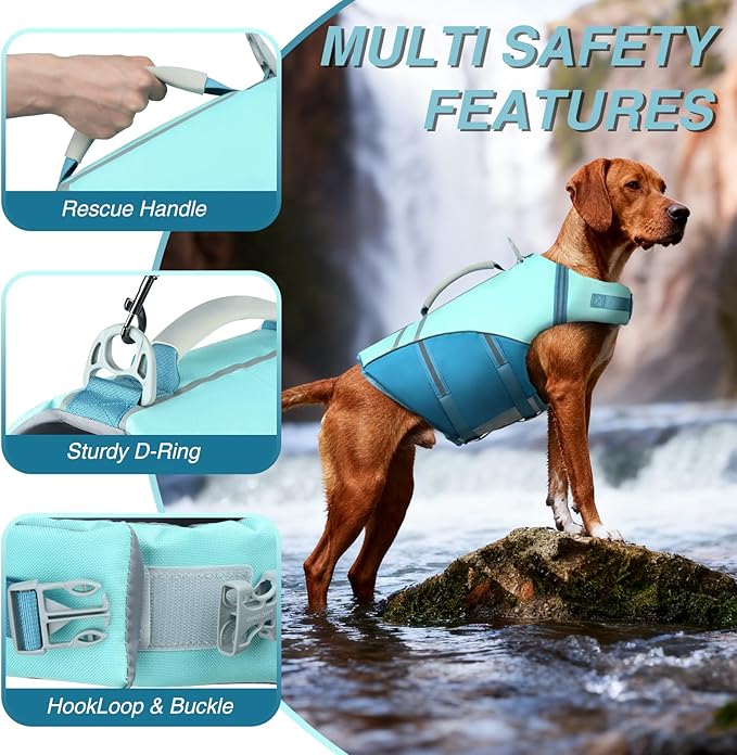 VIVAGLORY Sports Style Dog Life Vest, Dog Life Jacket for Swimming & Boating, Ripstop & Buoyancy for Puppy Doggy, Lifejacket with Handle, M, Cyan