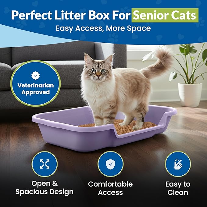 KittyGoHere Senior Cat Litter Box, Large Litter pan with Long-Handle Jumbo Scoop, Open Top Low Entrance Kitty Litter Box, Lightweight Low Entry Litters Box, Durable, Made in USA (Storybook Lavendar)