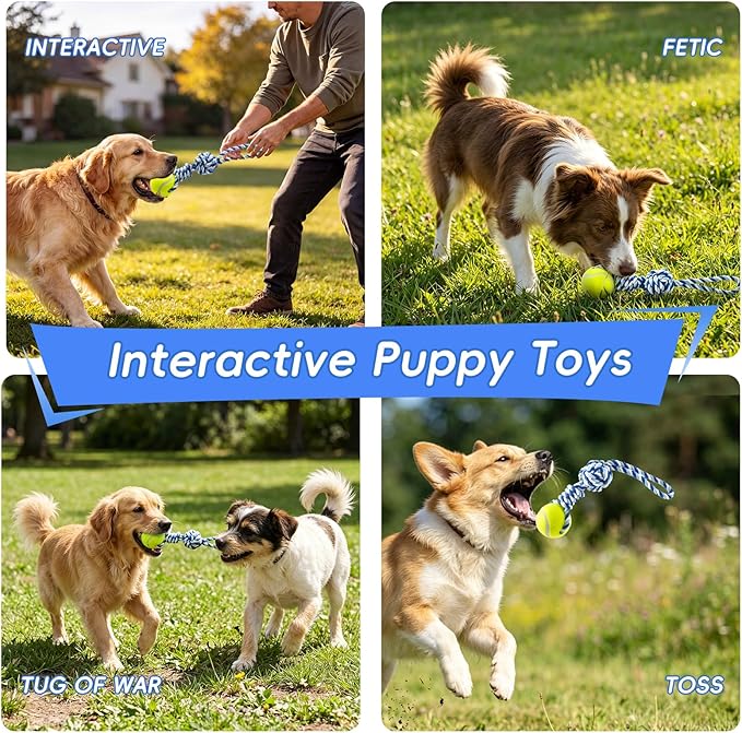 Interactive Tug of War Rope Toy for Medium & Small Dogs - Outdoor Tether Tug Toy with 1 Knot & Tennis Ball, Puppy Teething Chew Cotton Toy