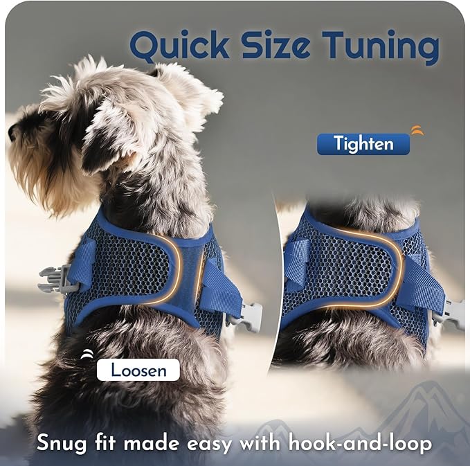 Eagloo Small Dog Harness and Leash Set, Step in Puppy Vest with Breathable Soft Mesh, Walking Reflective Pet Harness for Small Dogs, Navy Blue, XS