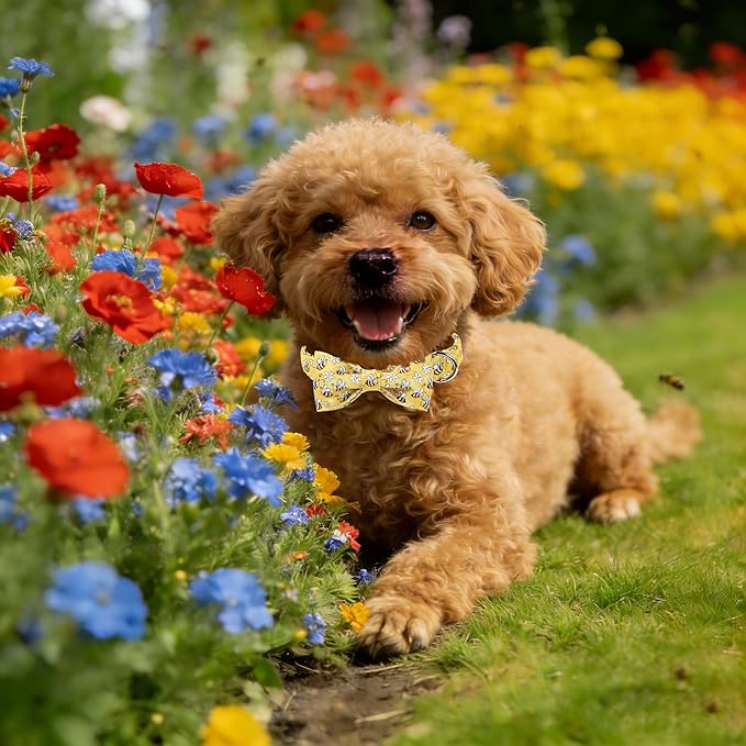Lionet Paws Spring Dog Collar with Bow tie,Cute Summer Bees Yellow Dog Collar Bow Tie for Large Dogs Female, Neck 16-24 inches