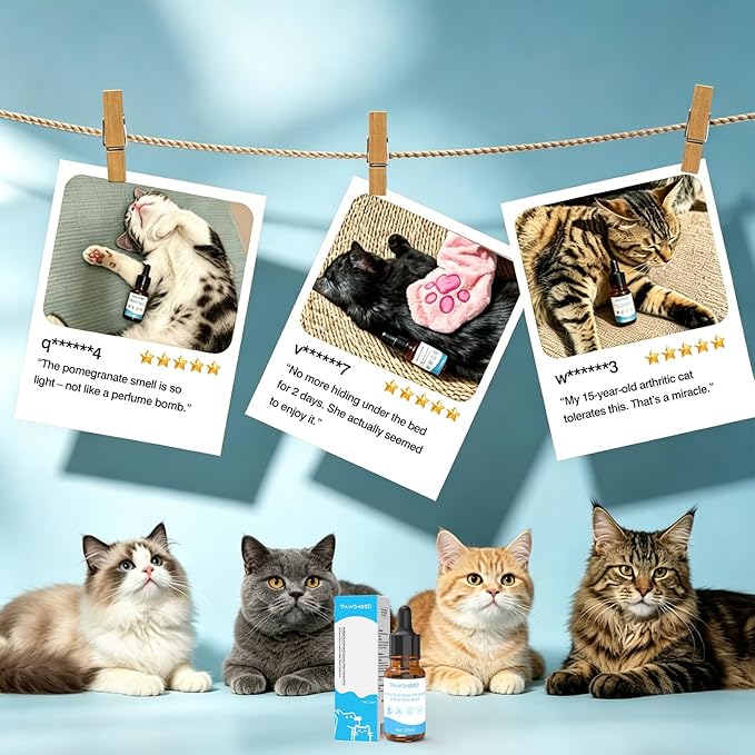 Cat Shampoo Waterless No-Rinse Concentrated – for Cats Dogs Pets Afraid of Baths | Indoor Use, No Blow-Dry, Travel Portable | Soothes Skin, Hydrates, Pomegranate | 0.34 oz