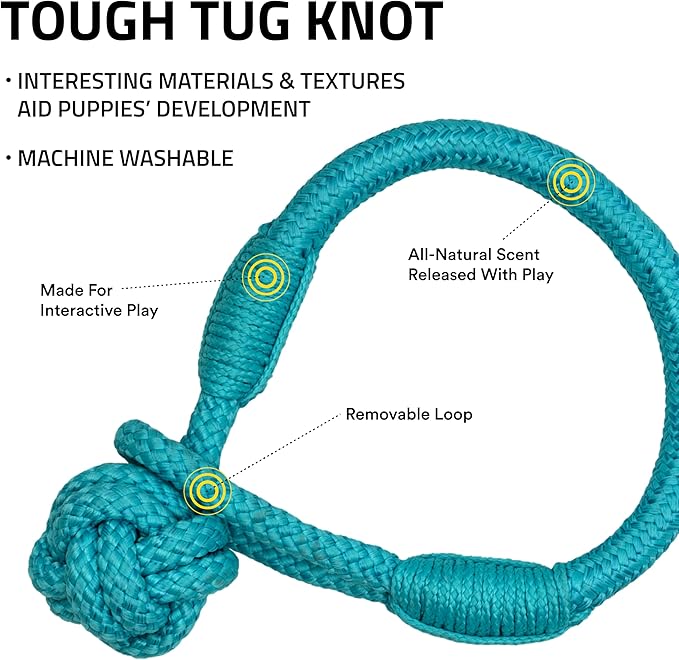 Playology Dog Toys | Tough Tug Knot for Puppies and Young Dogs | Peanut Butter Scented Medium Chew Toy Tug Rope | Tug of War Puppy Essentials